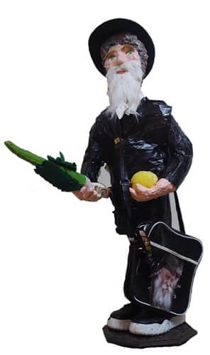 נוטל ארבעת המינים